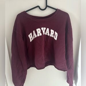 Harvard University Crop Top